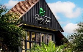 Fern Tree Resort